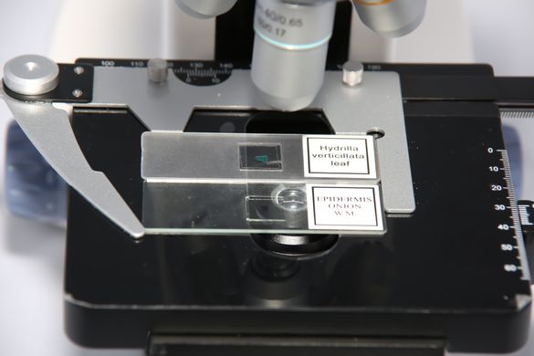 Мікроскоп біологічний MICROmed Fusion FS-7630